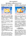 Development Of Microbial Growth In Fuels